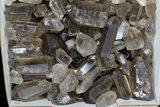 Lot: Lbs Smoky Quartz Crystals (-) - Brazil #77842-2